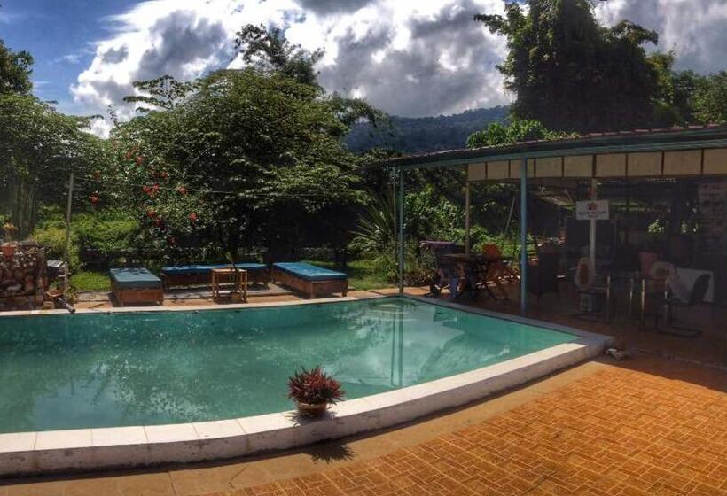 اتاق اکونومی, Sleepy Hollow Villa