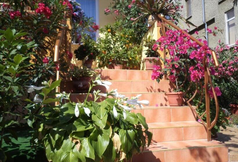 Номер Стандарт Трехместный, Guest House Stoyanovi