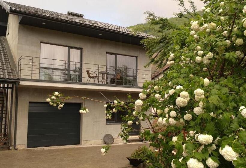 منزل غرفة نوم واحدة, Guesthouse U Dida Viktora
