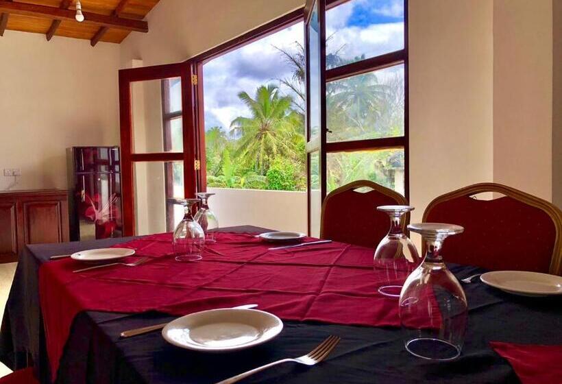 آپارتمان 1 خوابه با چشم‌انداز استخر, Sundowners Guesthouse