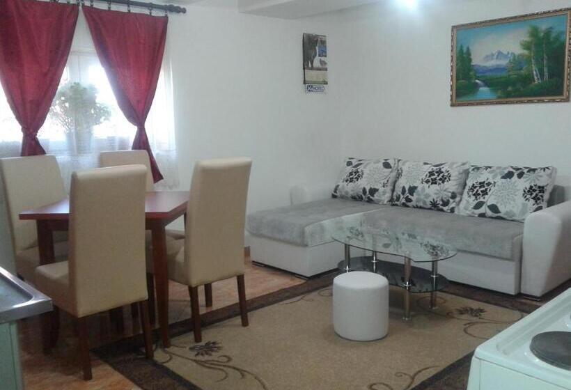 آپارتمان 1 خوابه همکف, Apartmani Sobe Sljivancanin