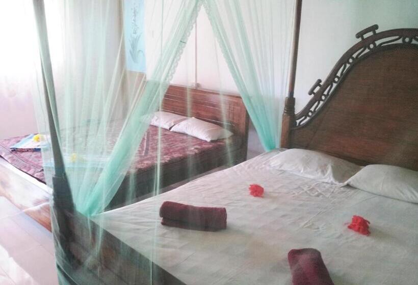 اتاق خانوادگی, Rainbow Guest House