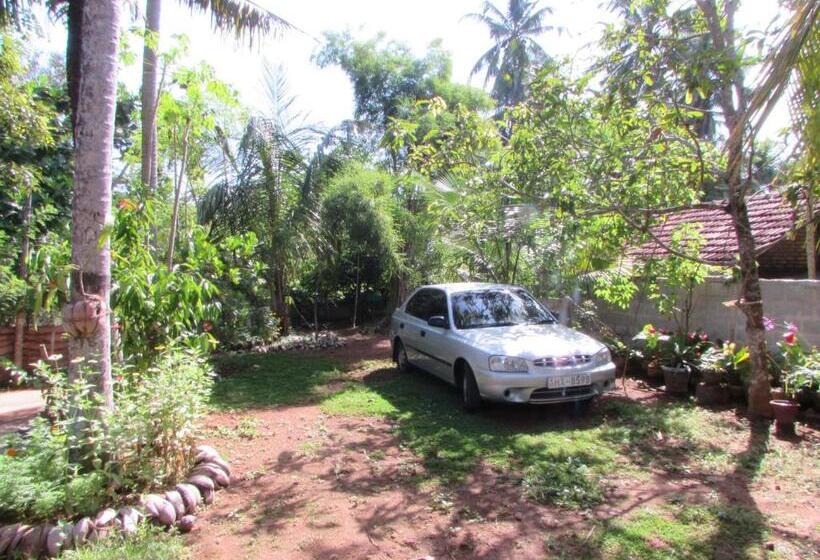 اتاق خانوادگی, Rainbow Guest House