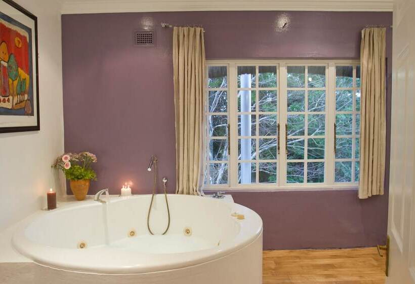 Президентский Люкс, Summerhill Guest Estate