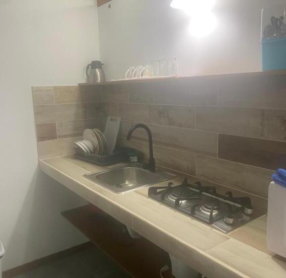 Номер Стандарт Вид на Сад, Casa Aba Matapalo