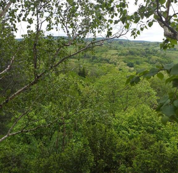 اتاق استاندارد چهارنفره با چشم‌انداز باغ, Lodging Vidmar