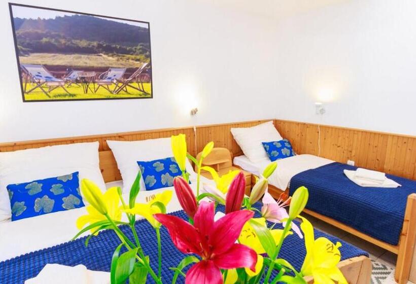 اتاق استاندارد چهار تخته, Retel Vitez Vendégház
