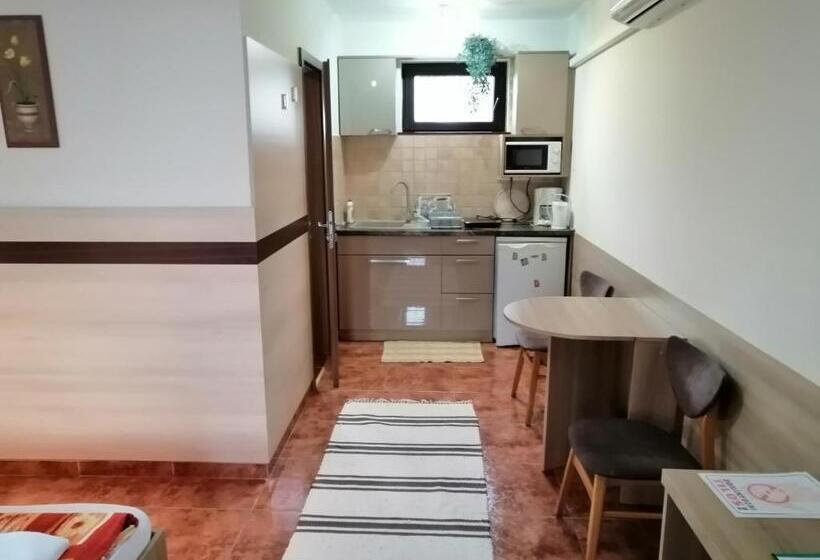 Студия Стандарт, Csipkeház Apartman