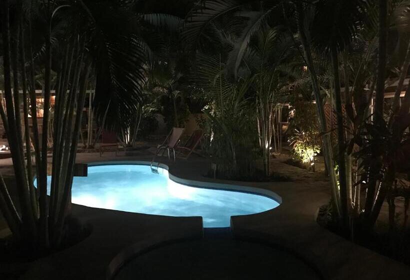 آپارتمان 2 خوابه, Anam Apartments