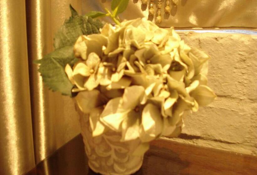 اتاق لوکس, Anne's Place