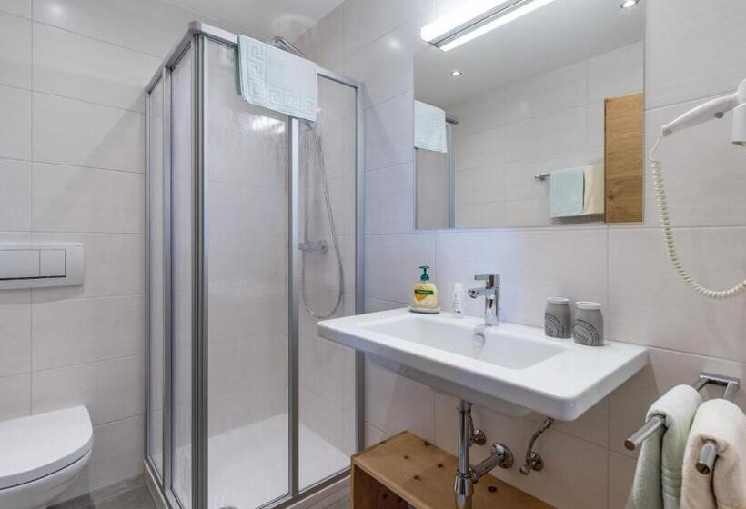 Трехместный Номер Стандарт с Балконом, Riemenerhof