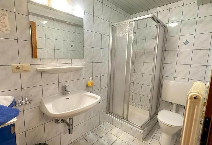 اتاق استاندارد, Alte Schmiede