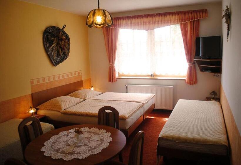 اتاق استاندارد, Pension B&b