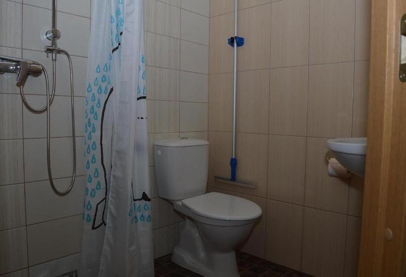 اتاق استاندارد, Aare Accommodation