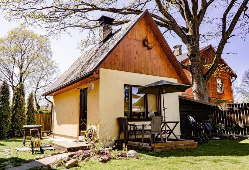 خانه 1 خوابه, Guest House šampētera Māja