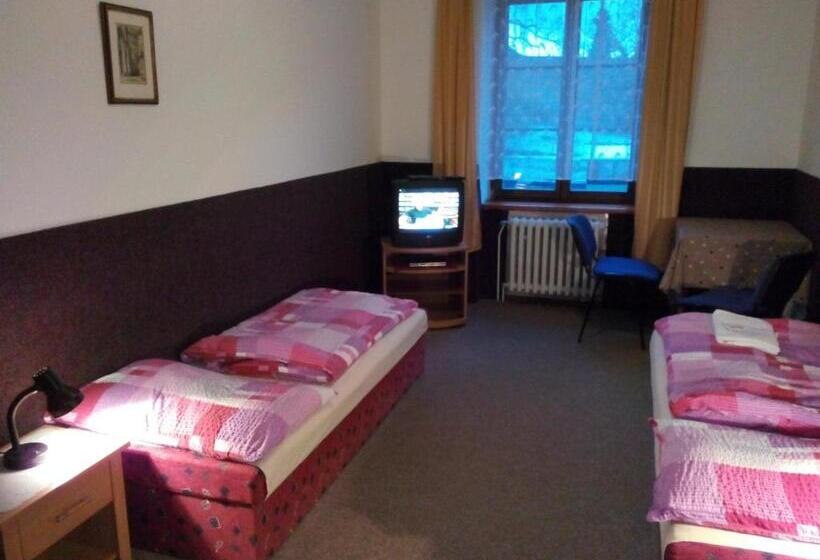 Standard Værelse, Penzion Poprda
