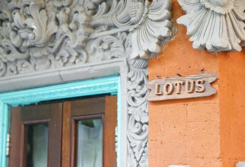 수피리어 룸, Sunhouse Guesthouse