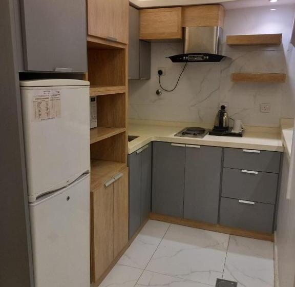 １ベッドルームアパートメント, Vision Apartment