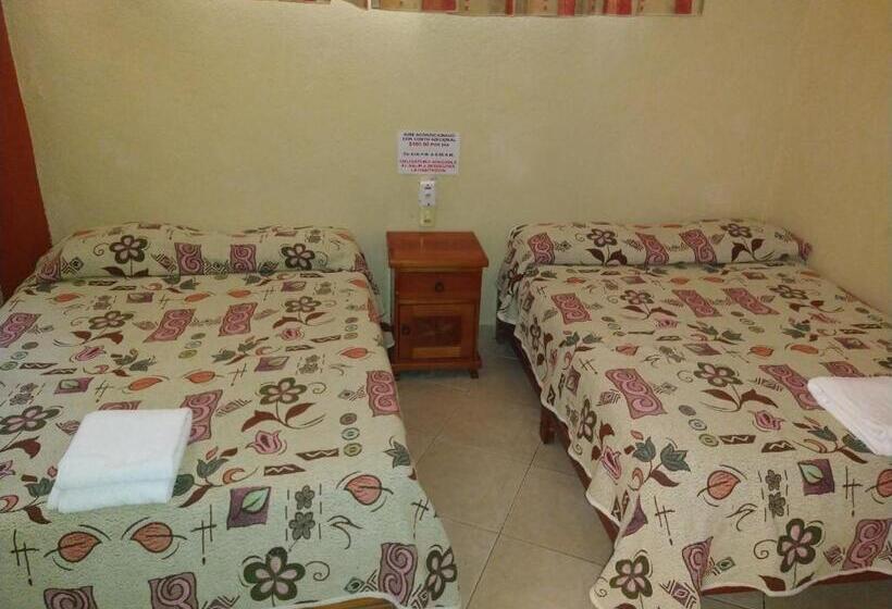 Quarto Quádruplo Estandar, Y Bungalows Olivares