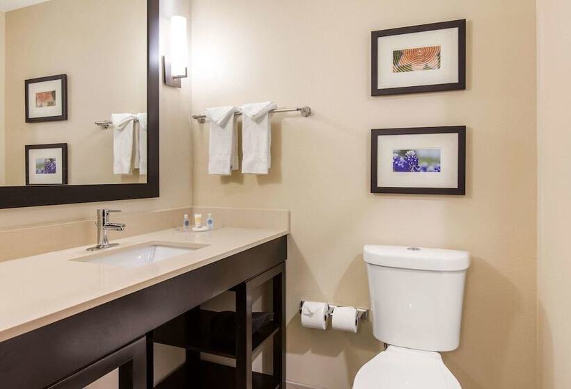 סוויטה מותאמת לאדם עם מוגבלויות, Comfort Suites  South Austin
