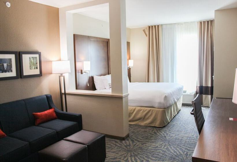 סוויטה, Comfort Suites  South Austin