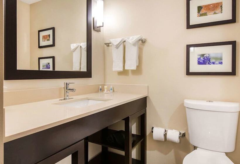 סוויטה, Comfort Suites  South Austin