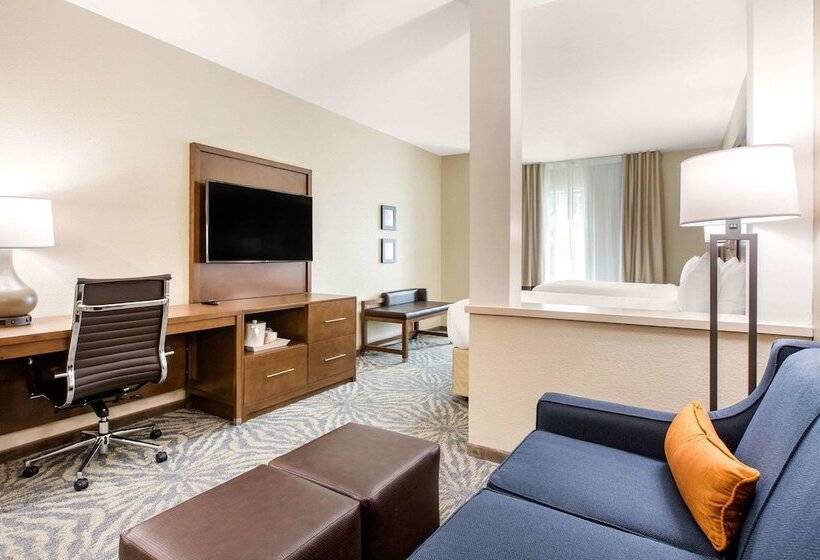 סוויטה, Comfort Suites  South Austin