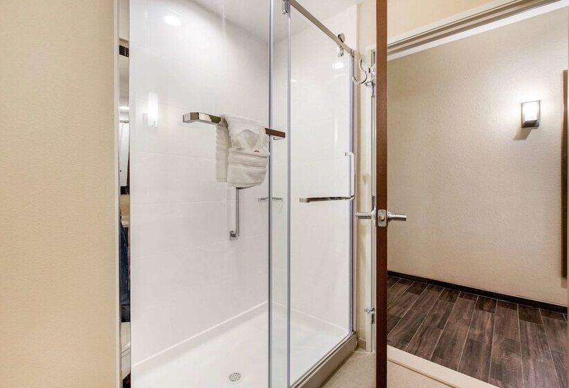 סוויטה מותאמת לאדם עם מוגבלויות, Comfort Suites  South Austin