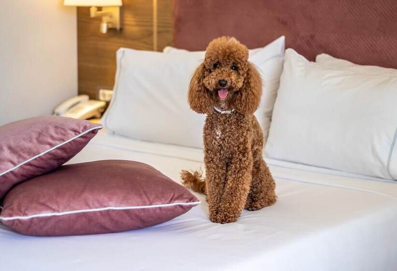 Номер Premium Вид на Бассейн, Serenity Suites