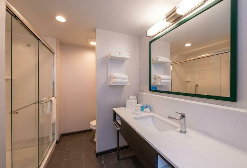 Стандартный Номер Кровать Кинг, Hampton Inn & Suites Winstonsalem Downtown