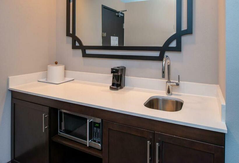 Студия Стандарт, Hampton Inn & Suites Winstonsalem Downtown