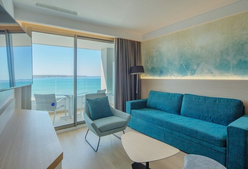 اتاق استاندارد, Aparthotel Fontanellas Playa