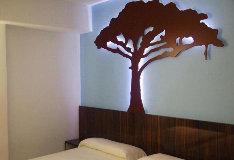 Habitación Estándar Individual, Sol Playa