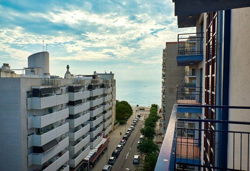 带海景的标准单人间, Checkin Blanes