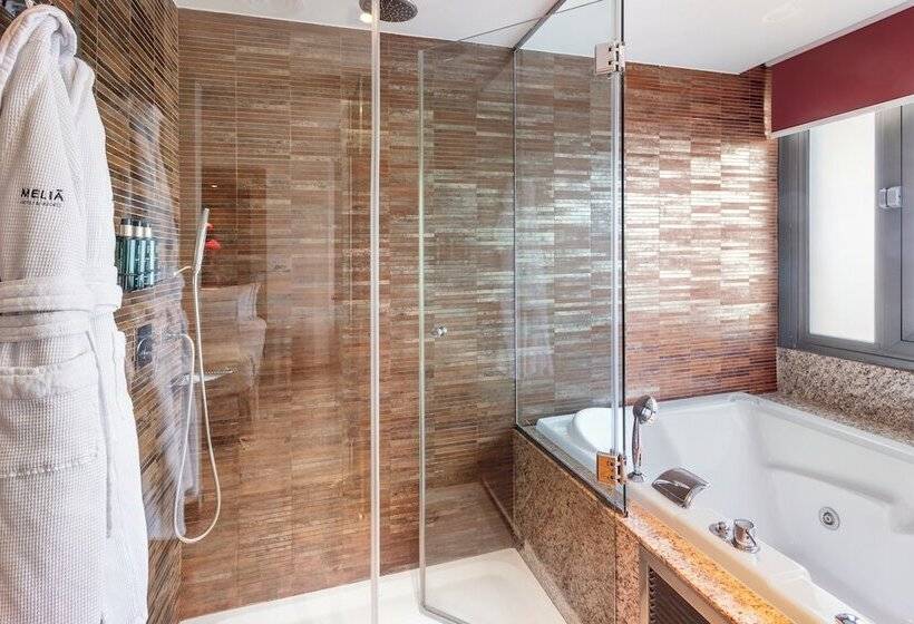اتاق پرمیوم, Melia Madrid Princesa