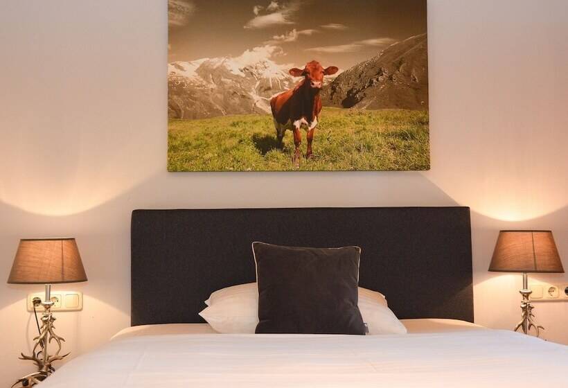 اتاق استاندارد یک نفره, Q! Hotel Maria Theresia