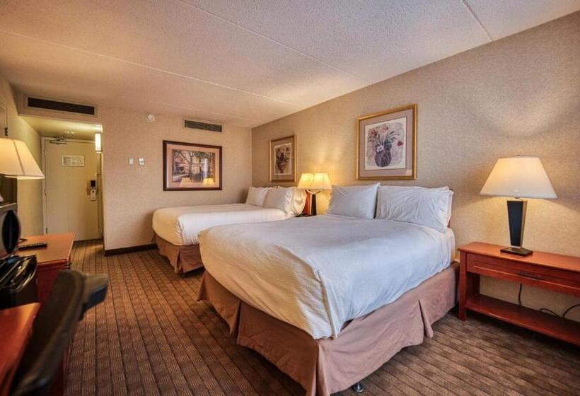 ２ダブルベッドのスタンダードルーム, Amenida Residences, Calgary