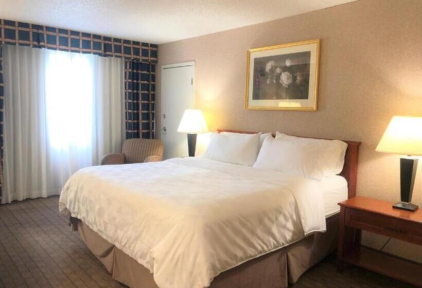 キングサイズベッドのスタンダードルーム, Amenida Residences, Calgary