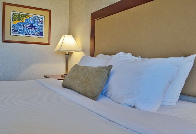 스탠다드 룸 더블 침대 2개, Best Western Gold Rush Inn