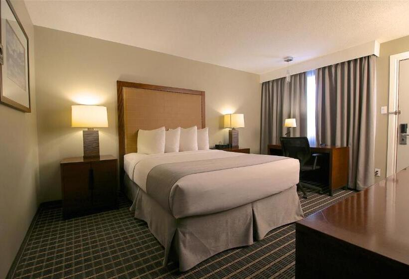 Номер Стандарт, Clarion Pointe