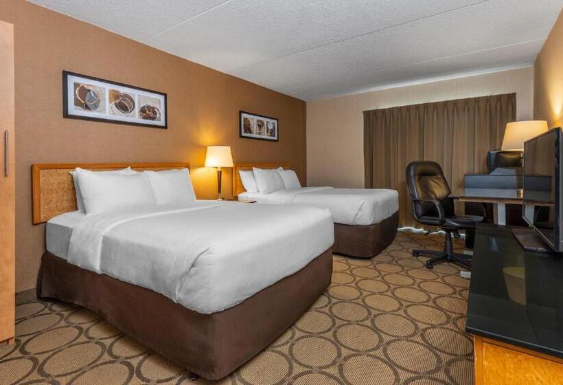 带2个双人床的标准工作室, Comfort Inn