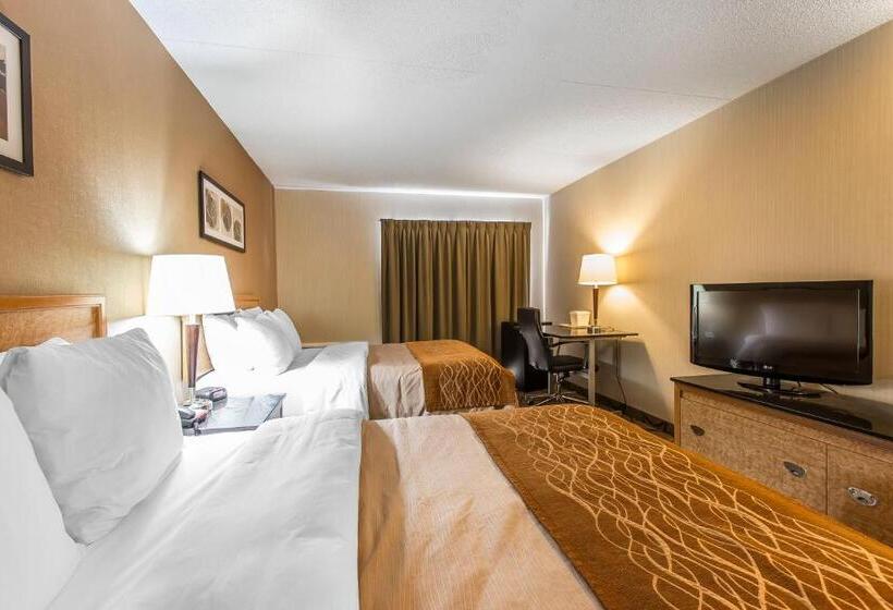 带2个双人床的标准工作室, Comfort Inn