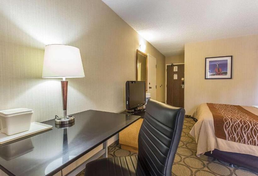 一楼标准间, Comfort Inn