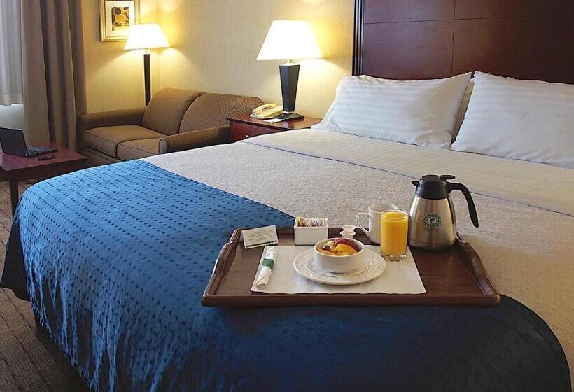 キングサイズベッドのスタンダードルーム, Holiday Inn & Suites Winnipeg Downtown, An Ihg