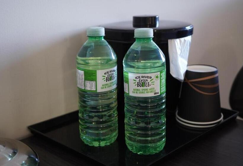 クイーンサイズベッドのスタンダードルーム, River Rapids Inn