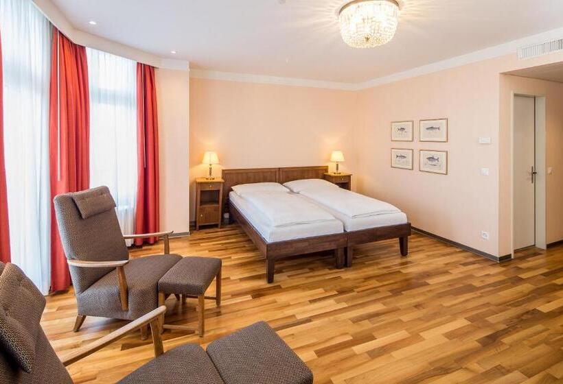 Номер Стандарт, Schweizerhof Basel