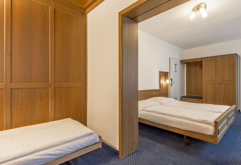 اتاق استاندارد سه نفره, Alpina Luzern
