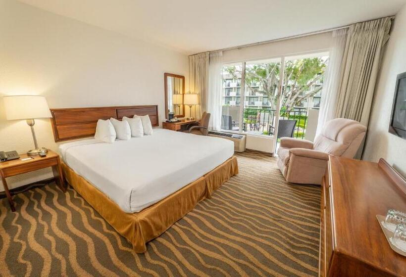 스탠다드 룸 킹사이즈 침대, Irazú Hotel & Studios