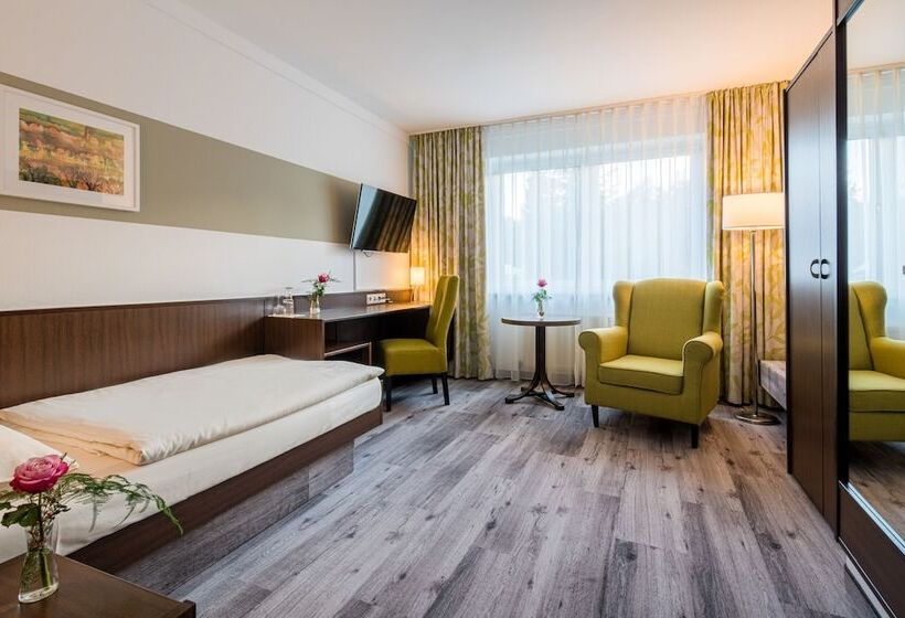 اتاق استاندارد یک نفره, Waldhotel Schäferberg