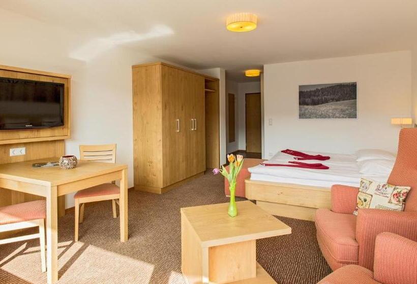 Номер Superior Одноместный, Brugger  S Hotelpark Am Titisee